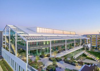 Harlow-Sunset-Las-Palmas