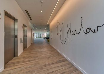 Harlow-Sunset-Las-Palmas